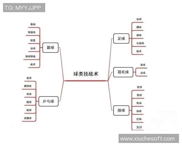 从零基础到篮球高手：全面解析篮球配合技巧与战术应用