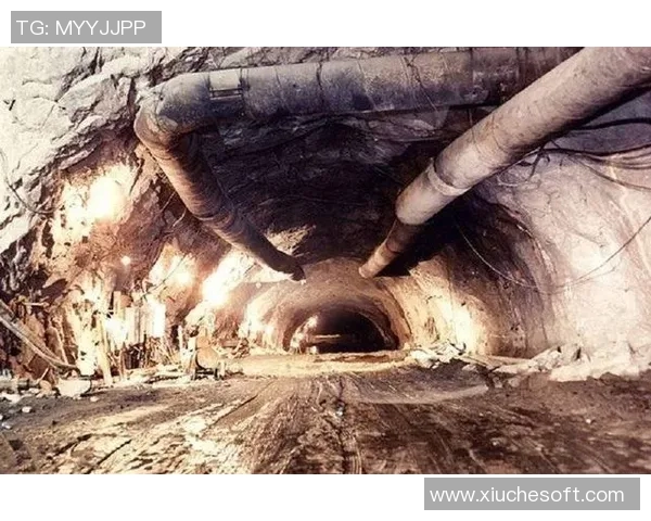 佐1与佐2的较量谁能胜出揭示了背后的深层次秘密与策略