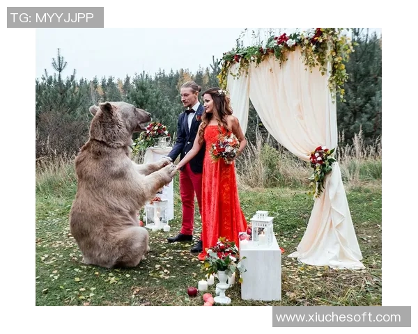 蓝衣战队与棕熊队激烈对决视频直播精彩瞬间回顾与分析